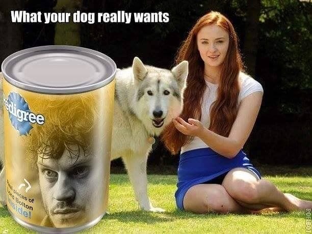 What your dog really wants ее