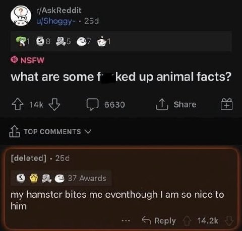 u/Shoggy- 93 25 NSFW what are зоте{ ‘ked up animal facts? 6630 Share TOP COMMENTS [deleted] 8 37 Awards my hamster bites me eventhough so nice to him Reply
