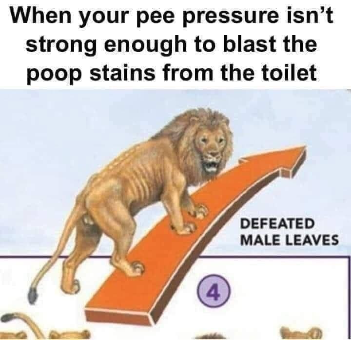 When your pee pressure isn’t strong enough to blast the poop stains from the toilet A DEFEATED MALE LEAVES