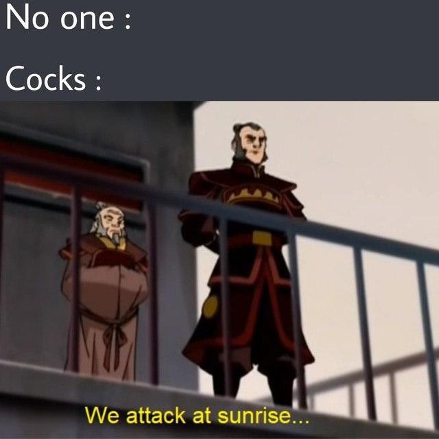 No one: Cocks We attack