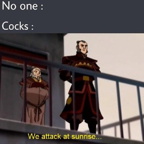 No one: Cocks We attack