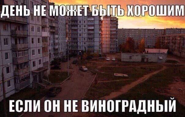 ДЕНЬ НЕ ЕСЛИ ОН НЕВИНОГРАДНЫЙ