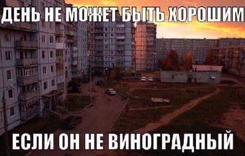 ДЕНЬ НЕ ЕСЛИ ОН НЕВИНОГРАДНЫЙ