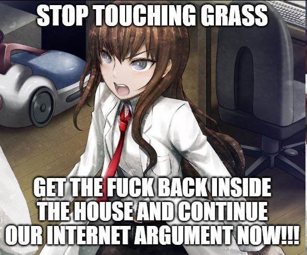 TOUCHING GRASS 2 1 THE FUCK BACK INSIDE OUR INT! INTERNET