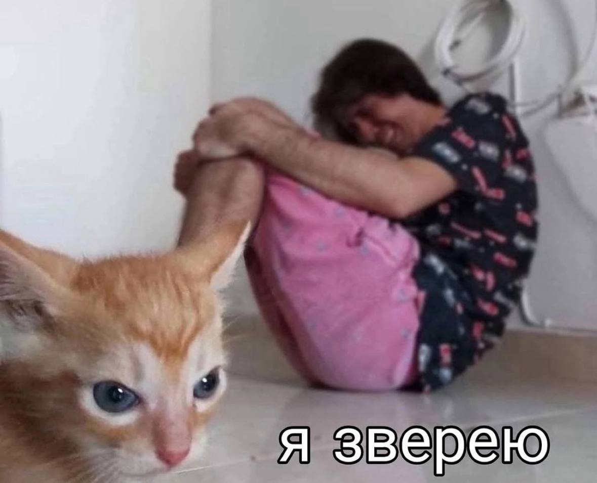 я зверею