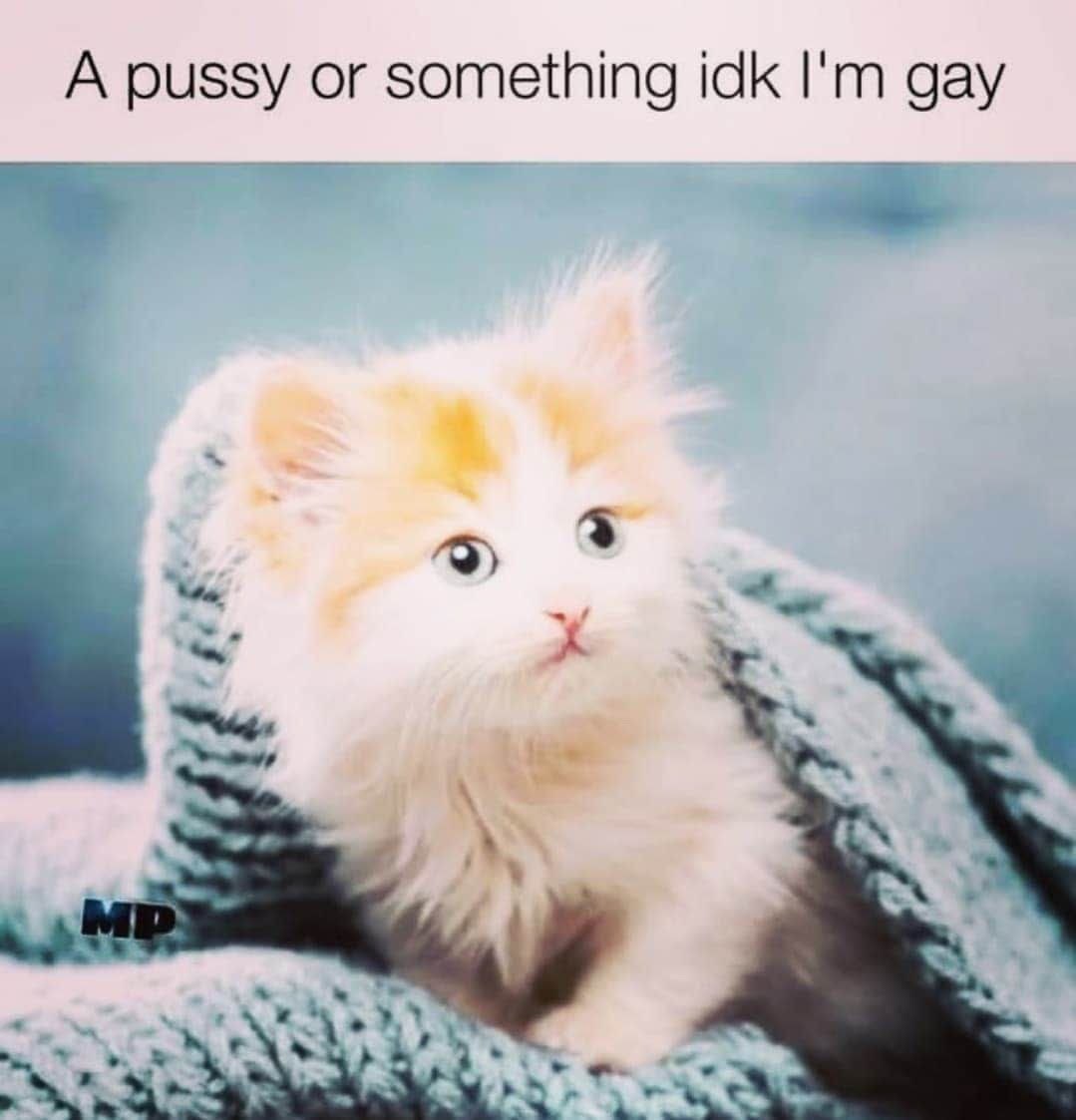 А pussy or something idk gay