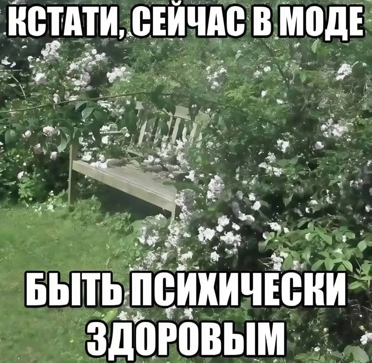 ИСТАТИ, СЕЙЧАС В МОДЕ 4 $3 2 БЫТЬ: