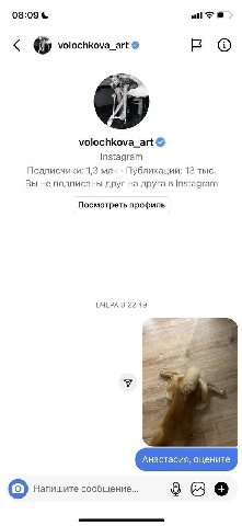 08:09 volochkova_art о volochkova_art Instagram Подписчики: 1,3 млн Публикации: 13 тыс. Вы не подписаны друг на друга в Instagram Посмотреть профиль ВЧЕРА В 22:49 Напишите сообщение...