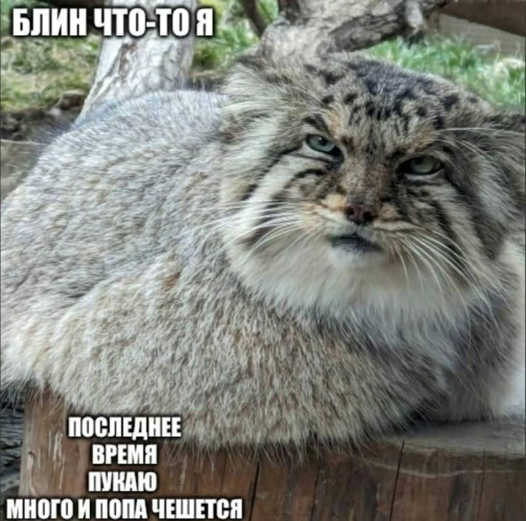 Житейское сегодня
