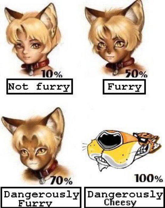 А 4 9, Not furry be 100% Dangerously Furr Chees