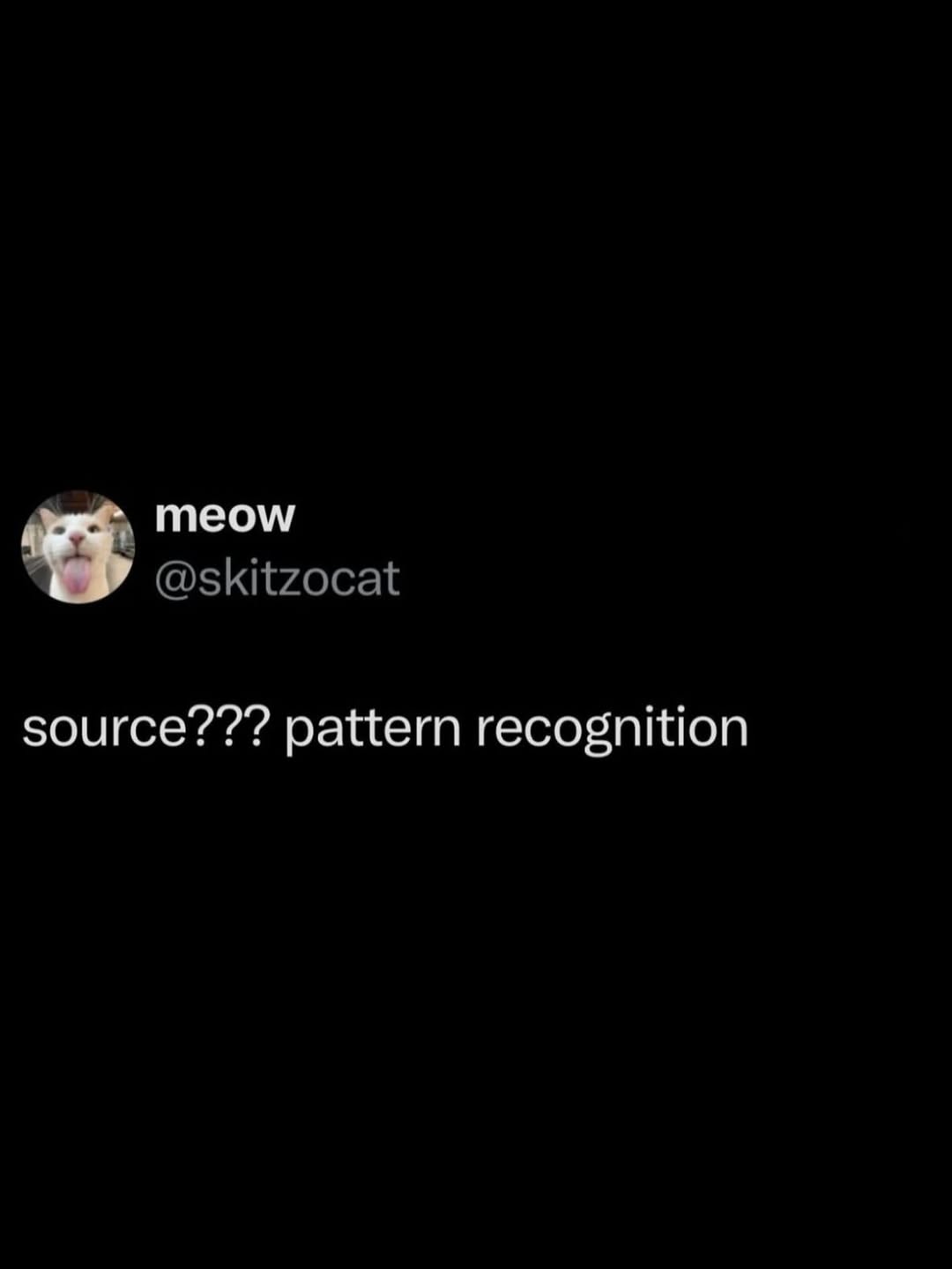 meow @skitzocat source??? pattern recognition