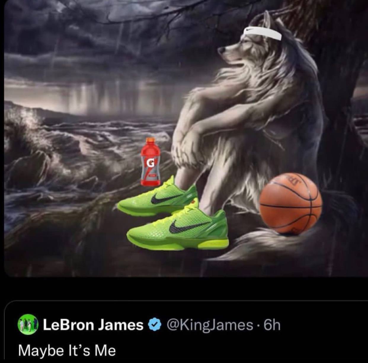 LeBron James Maybe It’s Me