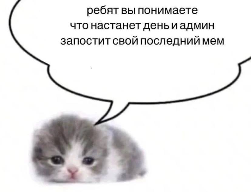 ребят вы понимаете что настанет день иадмин запостит свой последний мем