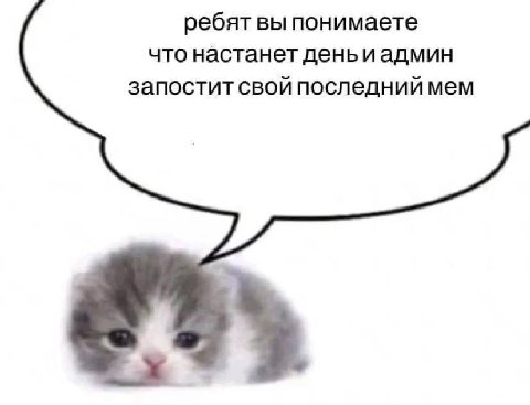 ребят вы понимаете что настанет день иадмин запостит свой последний мем