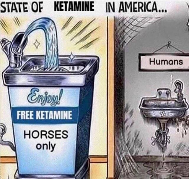 STATE OF KETAMINE IN Humans FREE KETAMINE HORSES ahs only