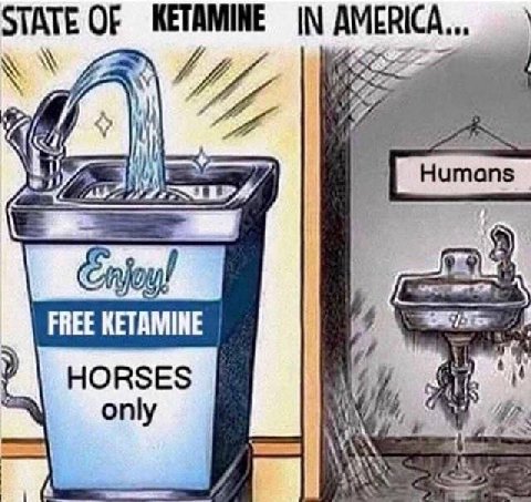 STATE OF KETAMINE IN Humans FREE KETAMINE HORSES ahs only