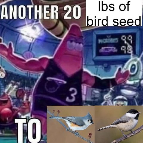 ANOTHER 20