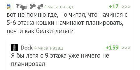 часа назад +17 000 вот не помню где, но читал, что начиная с 5-6 этажа кошки начинают планировать, почти как белки-летяги Оеск 4 часа назад +139 ооо Я бы летя с 9 этажа уже ничего не планировал