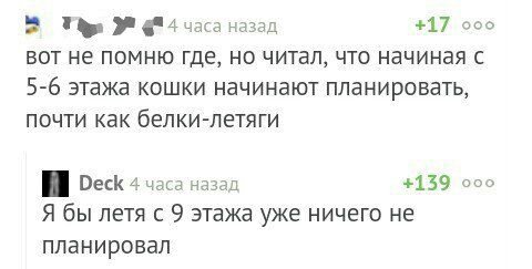 часа назад +17 000 вот не помню где, но читал, что начиная с 5-6 этажа кошки начинают планировать, почти как белки-летяги Оеск 4 часа назад +139 ооо Я бы летя с 9 этажа уже ничего не планировал