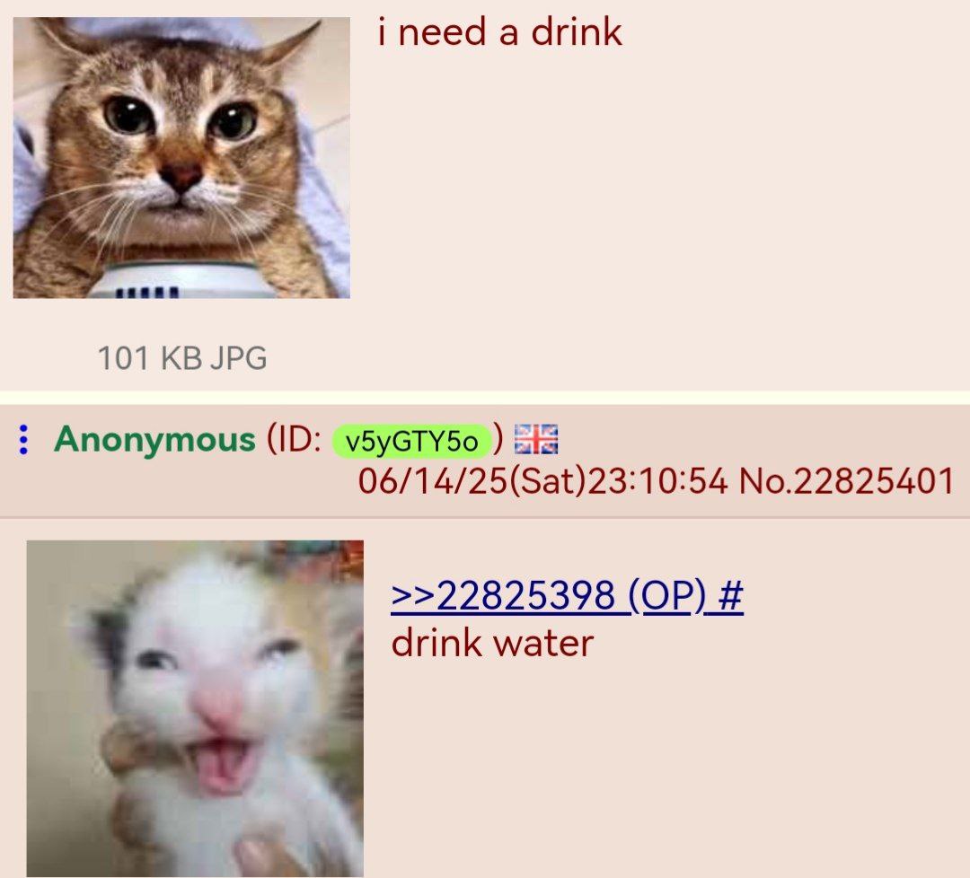 i need a drink a 101 JPG Anonymous v5yGTY50 Sia 06/14/25(Sat)23:10:54 No.22825401 >>22825398 drink water