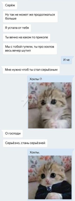 Серёж Ну так не может же продолжаться больше Я устала от тебя Ты вечно на каком то приколе Мы с тобой гуляли, ты про хохлов весь вечер шутил Иче Мне нужно чтоб ты стал серьёзным Хохлы О господи Серьёз