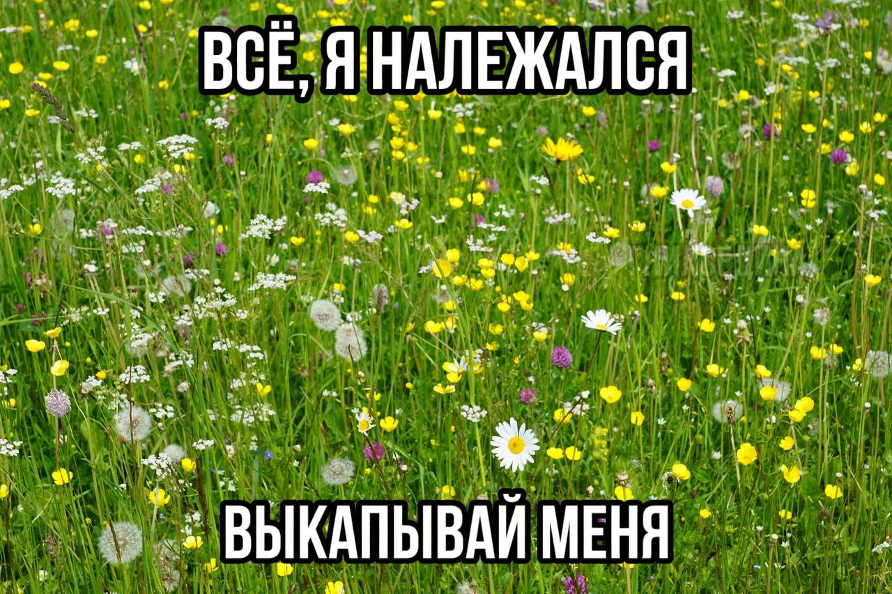 всё затекло