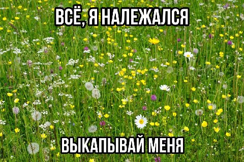 всё затекло