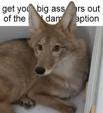 out get ass of the dary ption