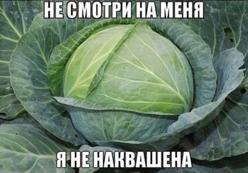 „НЕСМОТРИ НА МЕНЯ a ЯНЕНАКВАШЕНА
