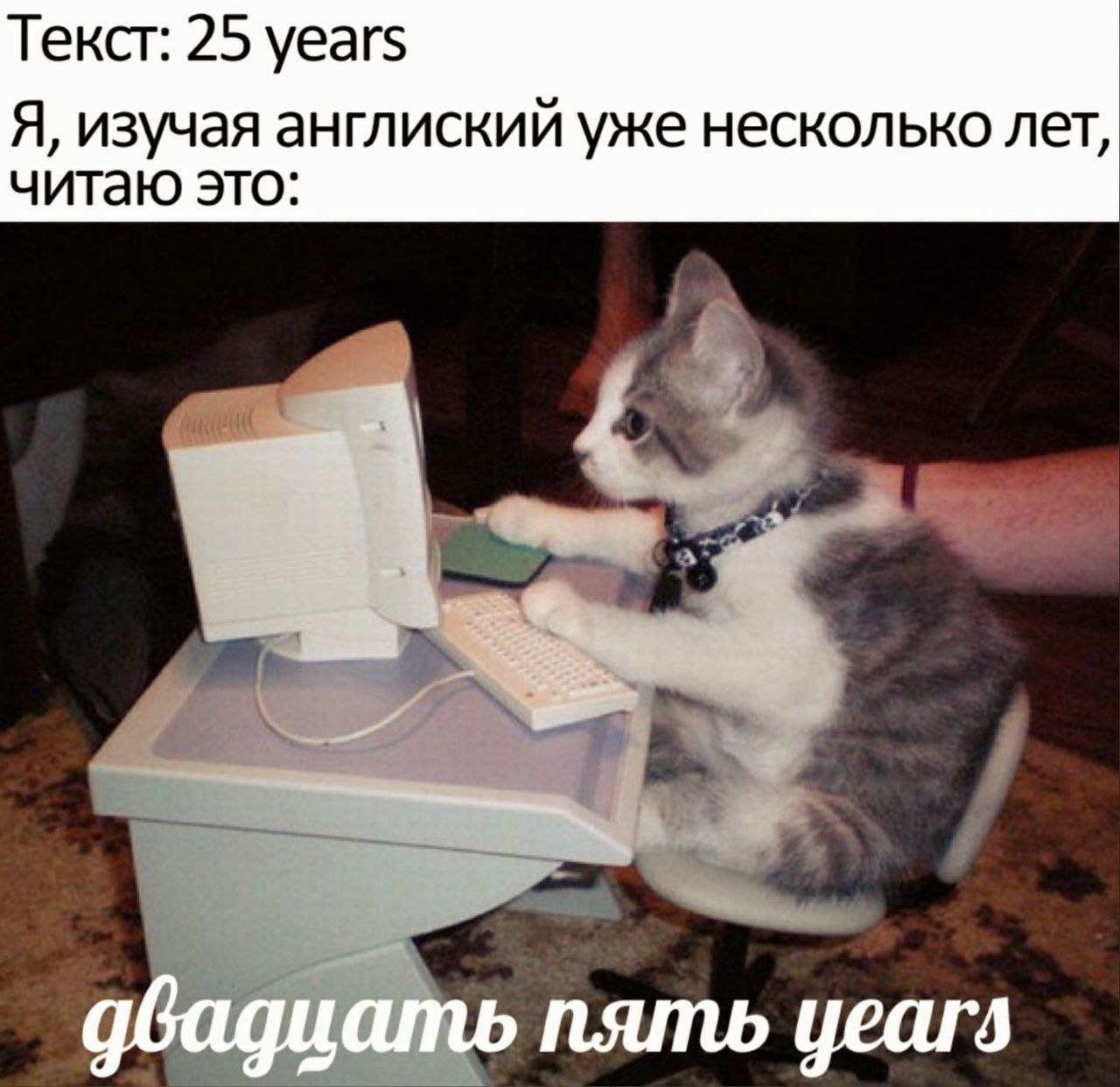 Текст: 25 years Я, изучая англиский уже несколько лет, читаю это: пять years