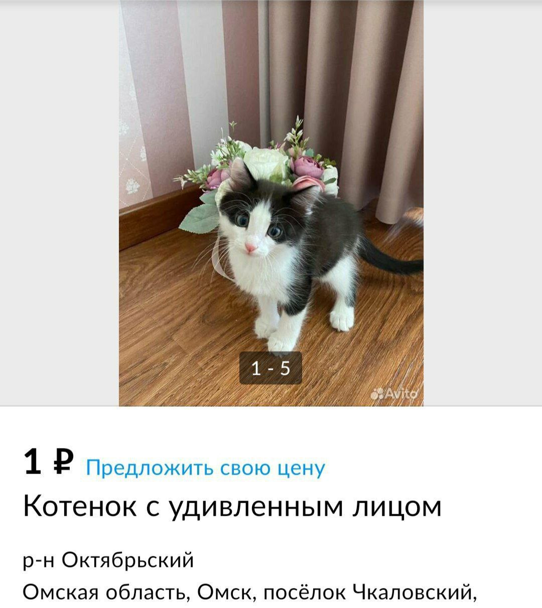 Это Павла я отвечаю