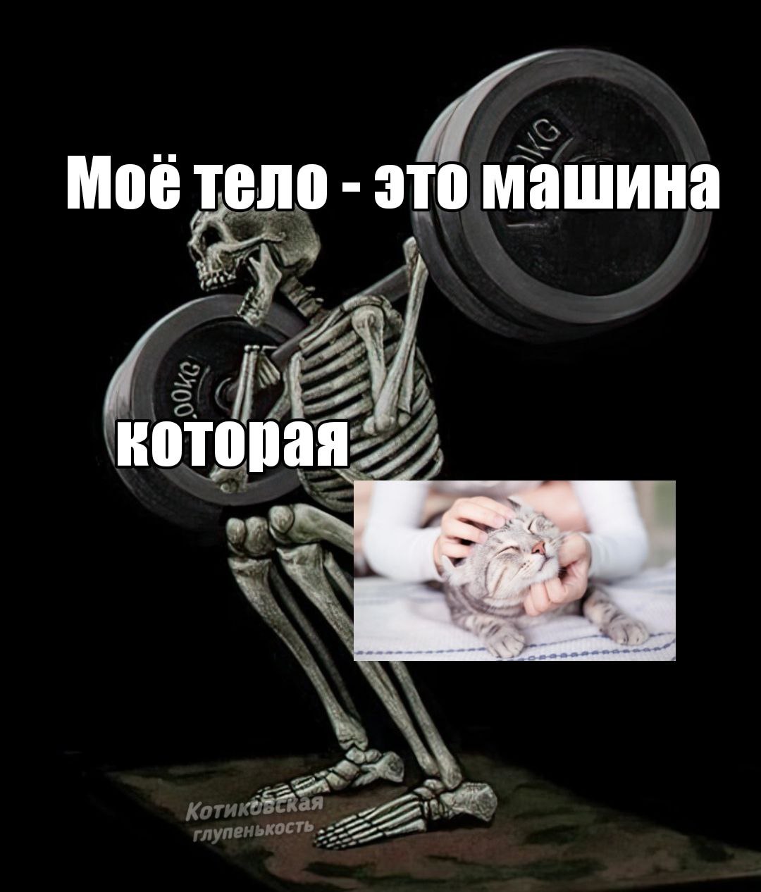 Гладить котиков. Гладить котиков. Гладить котиков. Гладить котиков. Гладить котиков.

глупенькость🐾