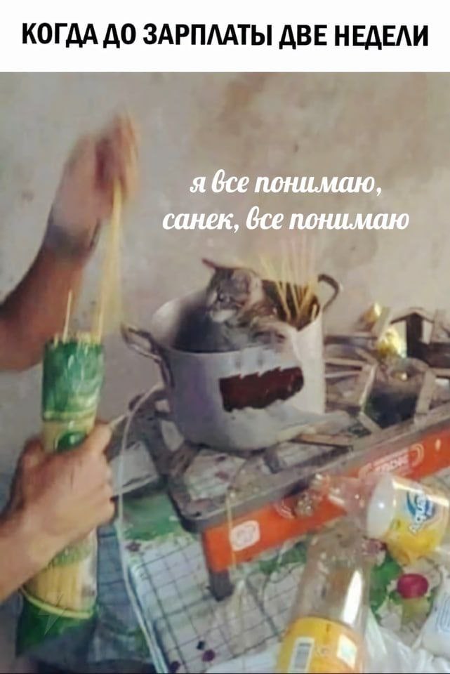КОГДА ДО ЗАРПЛАТЫ ДВЕ НЕДЕЛИ я все понимаю, все понимаю 4 4