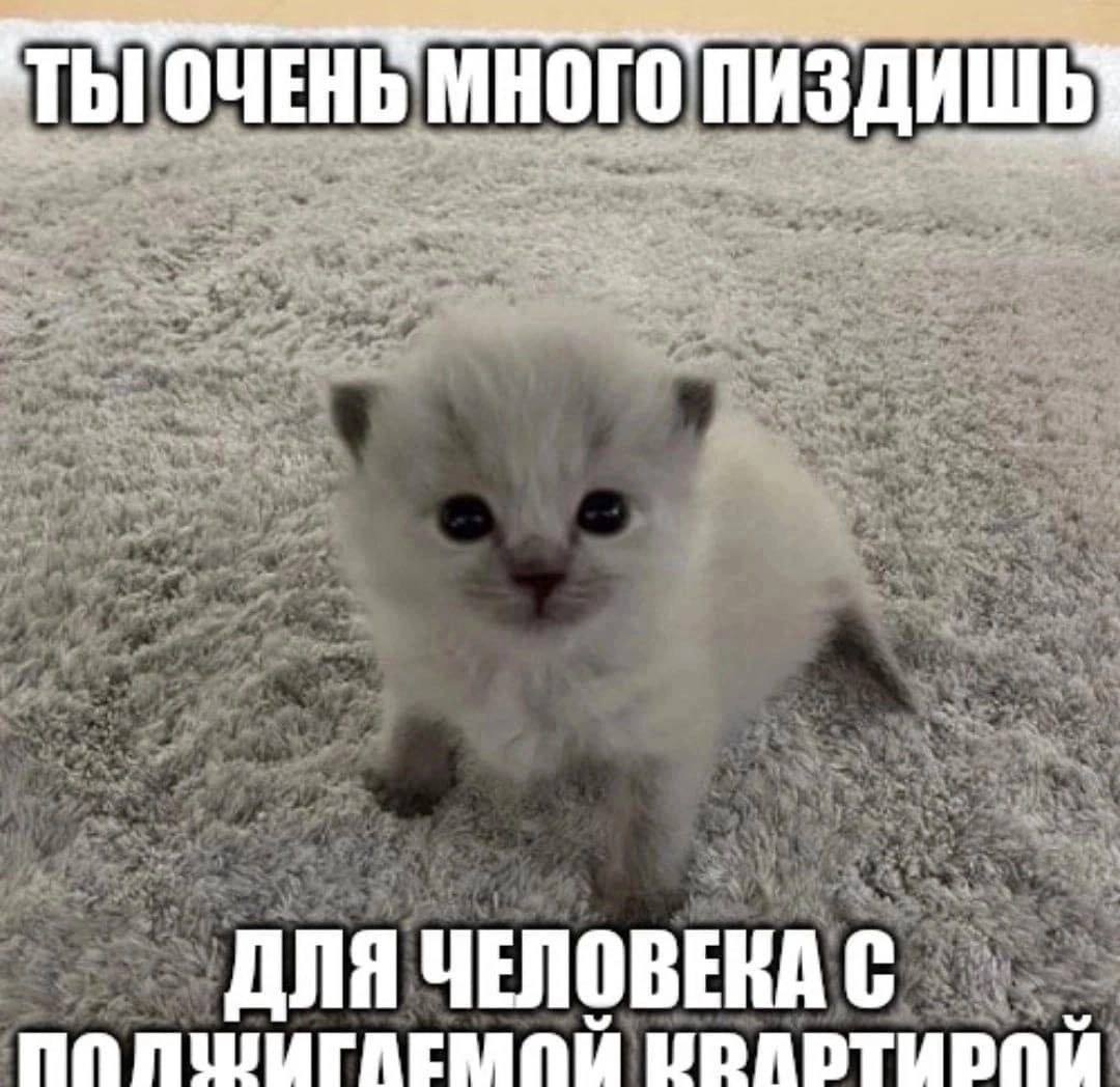 ТЫ! ОЧЕНЬ МНОГО ПИЗДИШЬ ДЛЯ ЧЕЛОВЕКА С