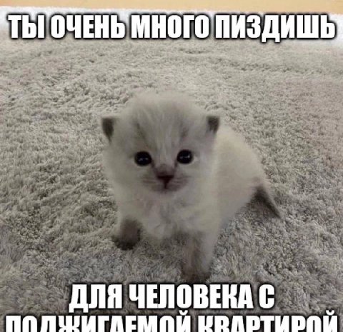 ТЫ! ОЧЕНЬ МНОГО ПИЗДИШЬ ДЛЯ ЧЕЛОВЕКА С