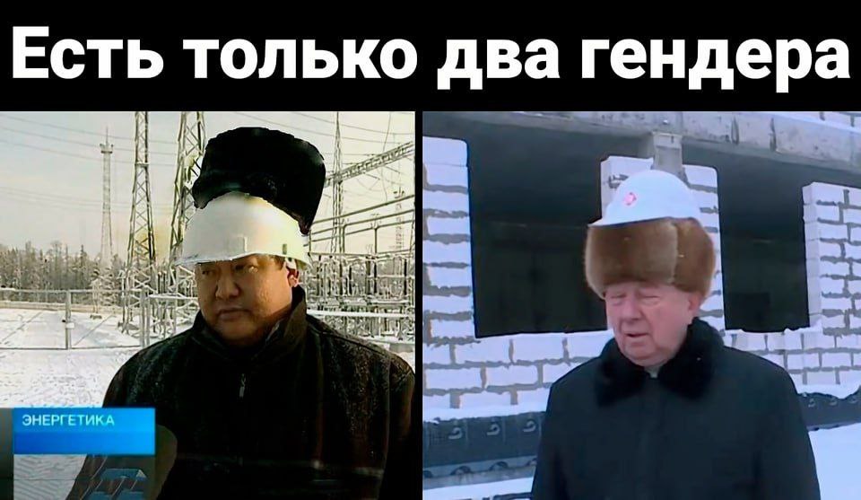 Есть только два гендера