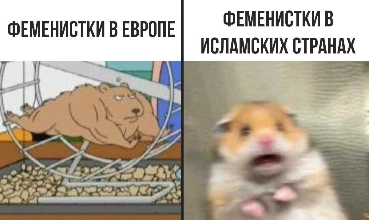 ФЕМЕНИСТКИ В ФЕМЕНИСТКИ В ЕВРОПЕ ИСЛАМСКИХ СТРАНАХ
