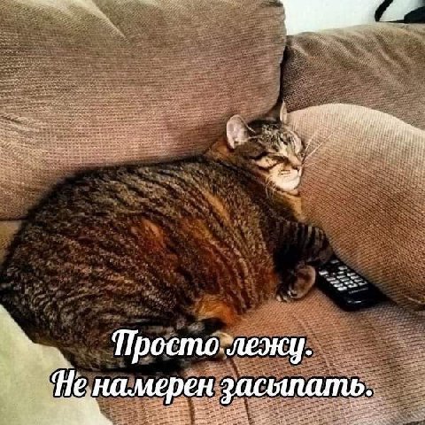Не намерен засыпать.