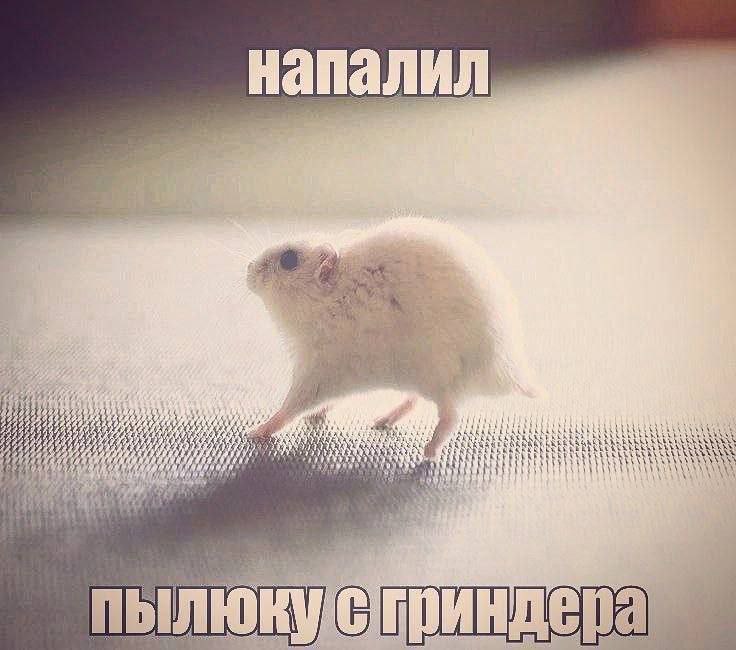 напалил 5) AS: