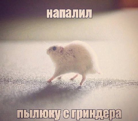 напалил 5) AS: