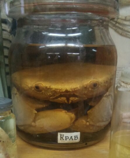 здарова