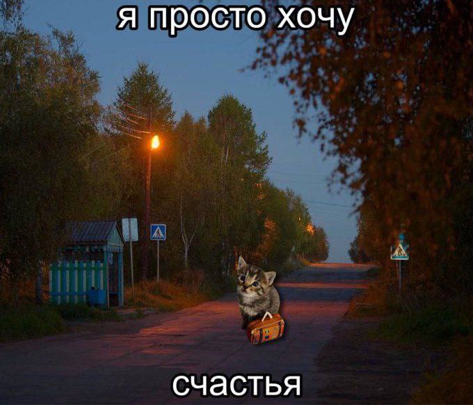 я просто хочу 6 счастья