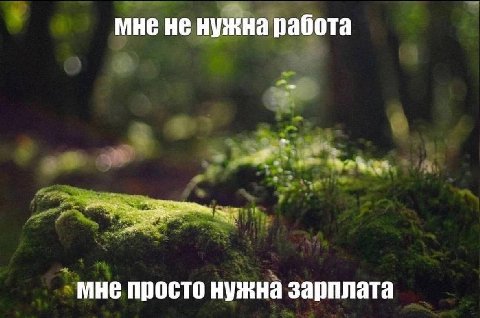 мне не нужна работа мне просто нужна зарплата
