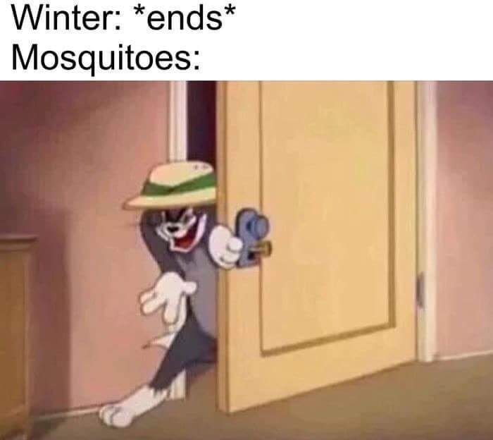 Winter: *ends Mosquitoes