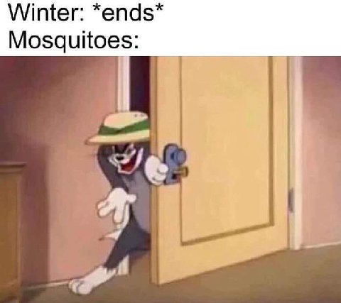 Winter: *ends Mosquitoes