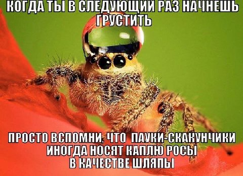 открыточка теье :*