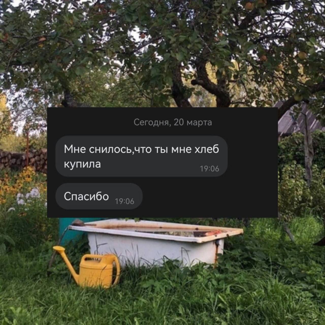 7 „у 4 3 22 Сегодня, 20 марта Мне ты мне хлеб купила 19:06 res Спасибо 19:06 Thy
