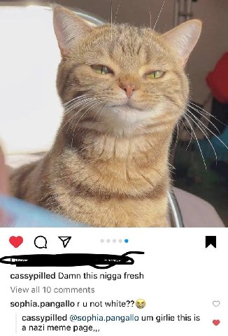i у cassypilled Damn this nigga fresh View all 10 comments sophia.pangallo not white?? cassypilled @sophia.pangallo girlie this is а nazi meme page,,,