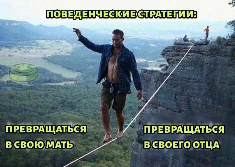 ПОВЕДЕНЧЕСКИЕ(СТРАТЕГИИ: ПРЕВРАЩАТЬСЯ ПРЕВРАЩАТЬСЯ В СВОЮ МАТЬ В СВОЕГО ОТЦА