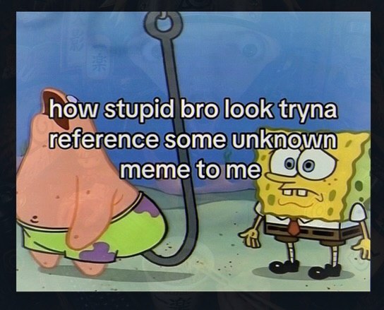 how stupid bro look tryna reference some unknown meme to me